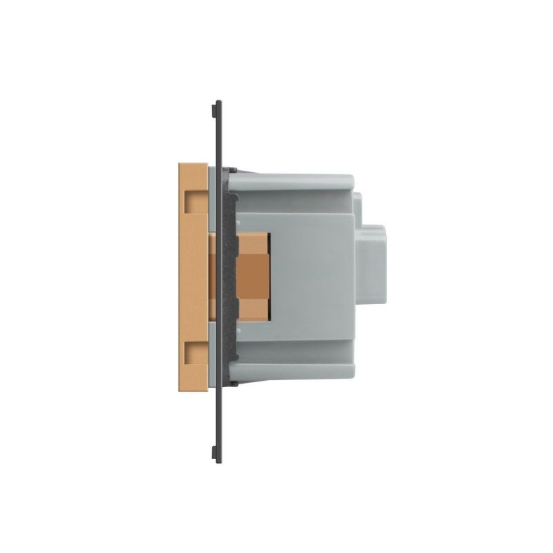 Розетка з зем. з шторками Livolo 724000113 золото - Фото №2