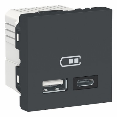 Розетка двойная USB 2.0 2,4A тип A + C, 2 модуля Unica NEW Schneider NU301854 антрацит